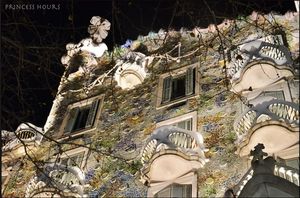 Casa Batllo 1/10 by Tripoto