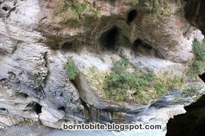 Swallow Grotto 1/1 by Tripoto