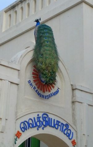 Golden Ramana in Sri Ramanasramam 1/3 by Tripoto