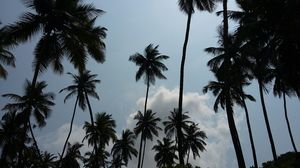 Goa: It's not all about cheap booze.