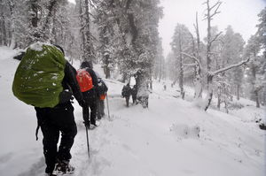 Climbing Kedarkantha