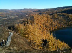 A trip to China's most beautiful national forest: Aershan