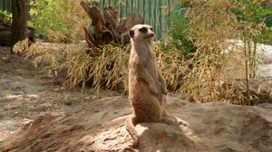 Budapest Zoo & Botanical Garden 1/1 by Tripoto