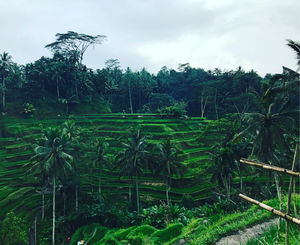 6 unique and weird things about Bali, you probably didn’t know!