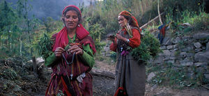 Malana – Epicenter of wild cannabis and an eccentric tribe