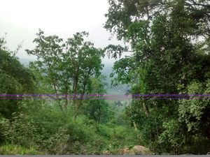 Nilgiri Hills 1/25 by Tripoto