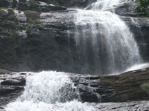 Munnar – Treasures hidden behind the mist