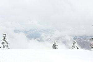 Shimla : Heaven of India