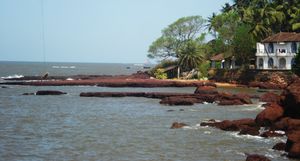 Go Goa Gone!