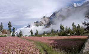 Journey to Heaven-"Kinnaur"