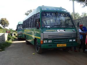 Bannerghatta National Park Safari