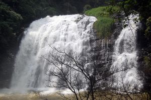 Why Coorg keeps calling me back
