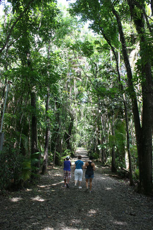 Cogon EcoTourism Park 1/9 by Tripoto