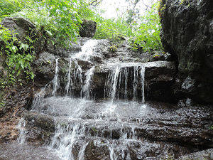 From My Last Monsoon Trek to Bhimashankar