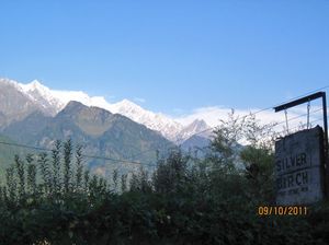 Seeking solitude in Shelapani, a beautiful hamlet in the Himalayas!