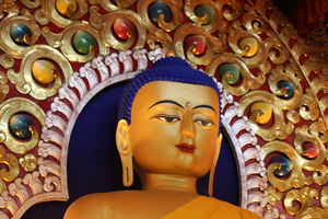 Into the lap of Dhauladhar - McLeodganj