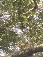 Travelogue – Day 2 of Our Journey – Navigation, the New Mantra of Travelling