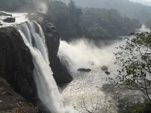 Munnar and Thekkady- Lush green tea gardens to aromatic spice plantations