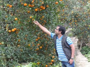 Chhota Mangwa – The land of orange orchards and perdurable beauty