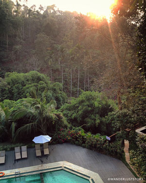 The Greenscape of Wayanad