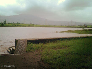 Touched by Nature