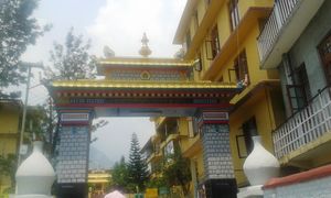 The land of Lamas: Dharamshala