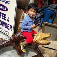 Ferns City Road 3/13 by Tripoto
