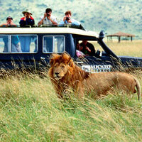 Rajeev Travel Blogger