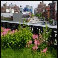 High line 2/2 by Tripoto