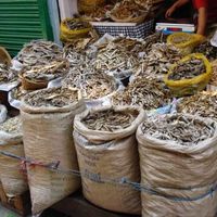 Bara Bazar 3/3 by Tripoto