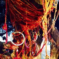 Chotila 2/4 by Tripoto