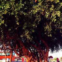 Chotila 3/4 by Tripoto