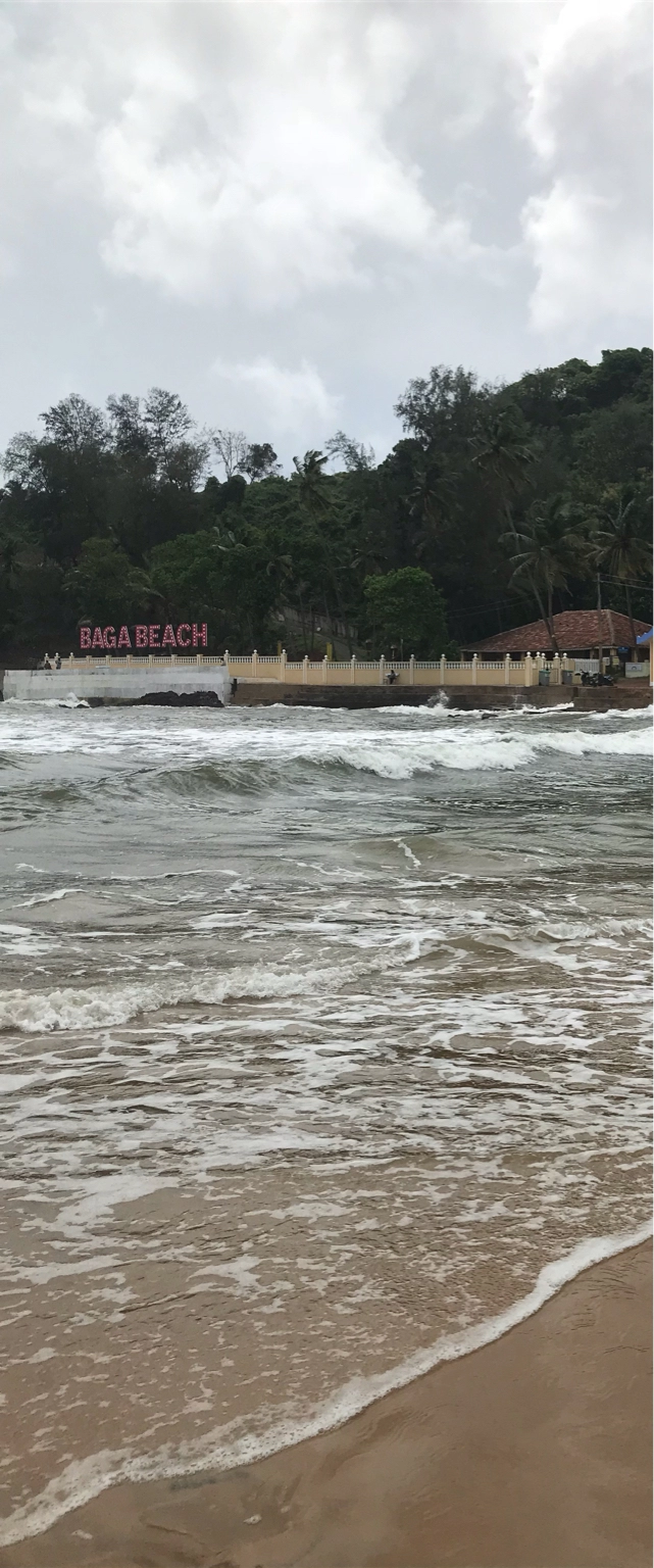 Photo of Baga By Sneha Singh