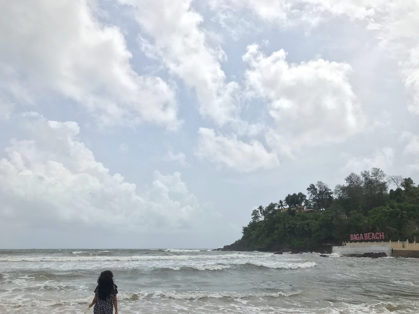 Photo of Baga By Sneha Singh