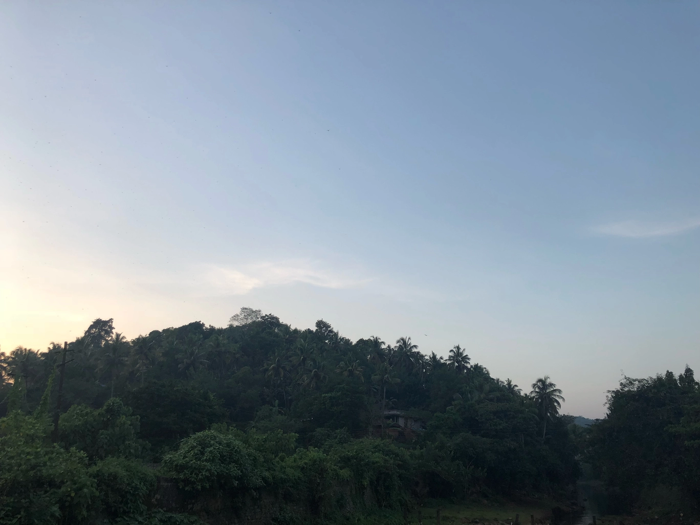 Photo of Mayilattumpara Rd By Abhinav Mathew