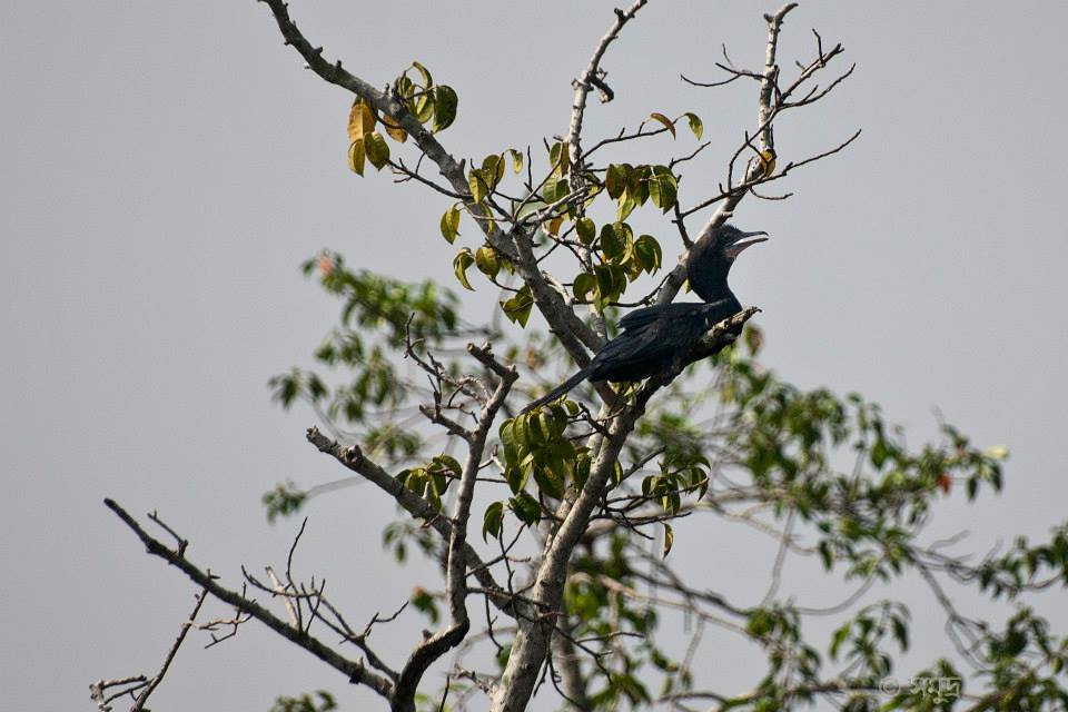 Photo of A Different Bengal By Samudra Sengupta