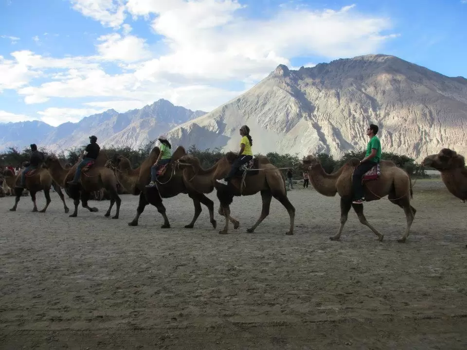 Photo of Leh By Mitali Patil