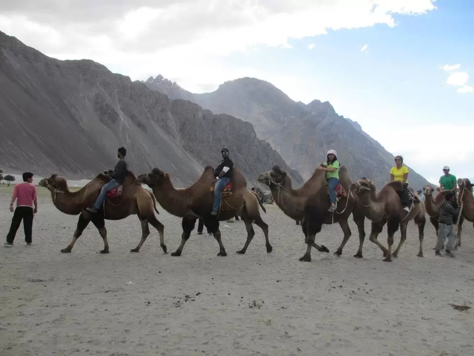 Photo of Leh By Mitali Patil