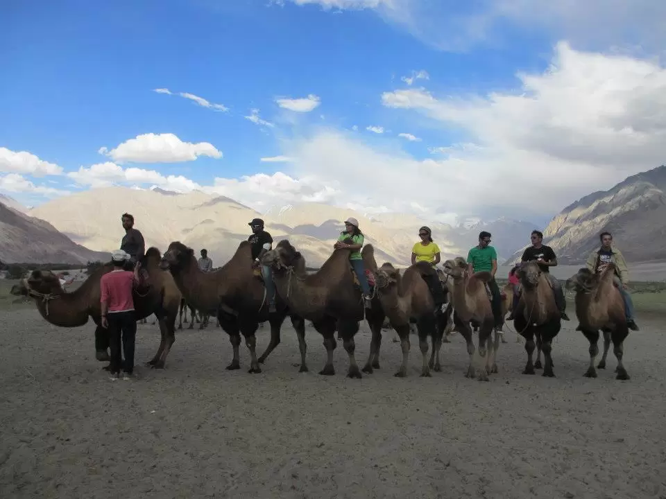 Photo of Leh By Mitali Patil