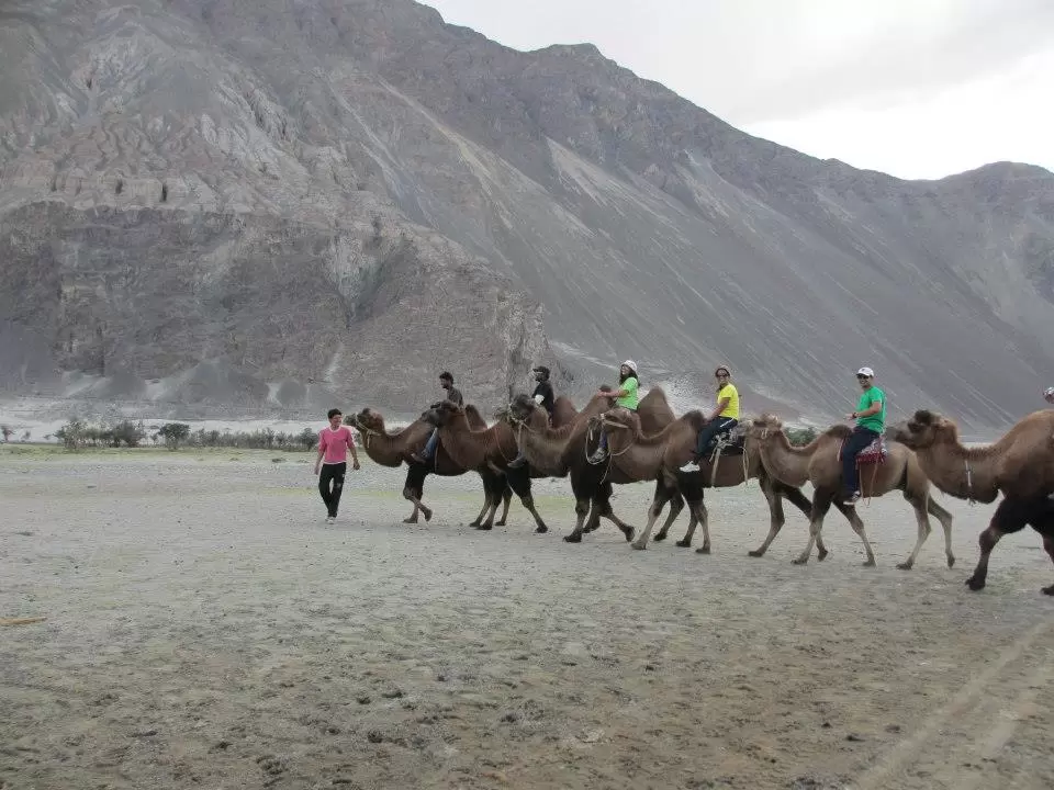 Photo of Leh By Mitali Patil