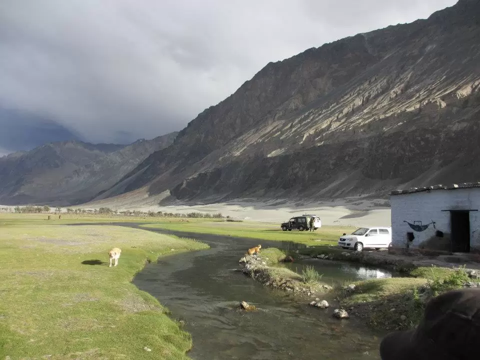 Photo of Leh By Mitali Patil