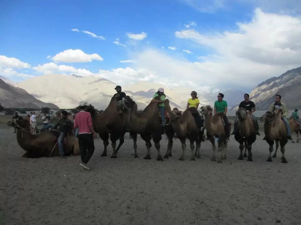 Photo of Leh By Mitali Patil