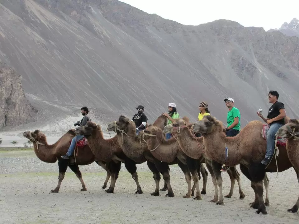 Photo of Leh By Mitali Patil