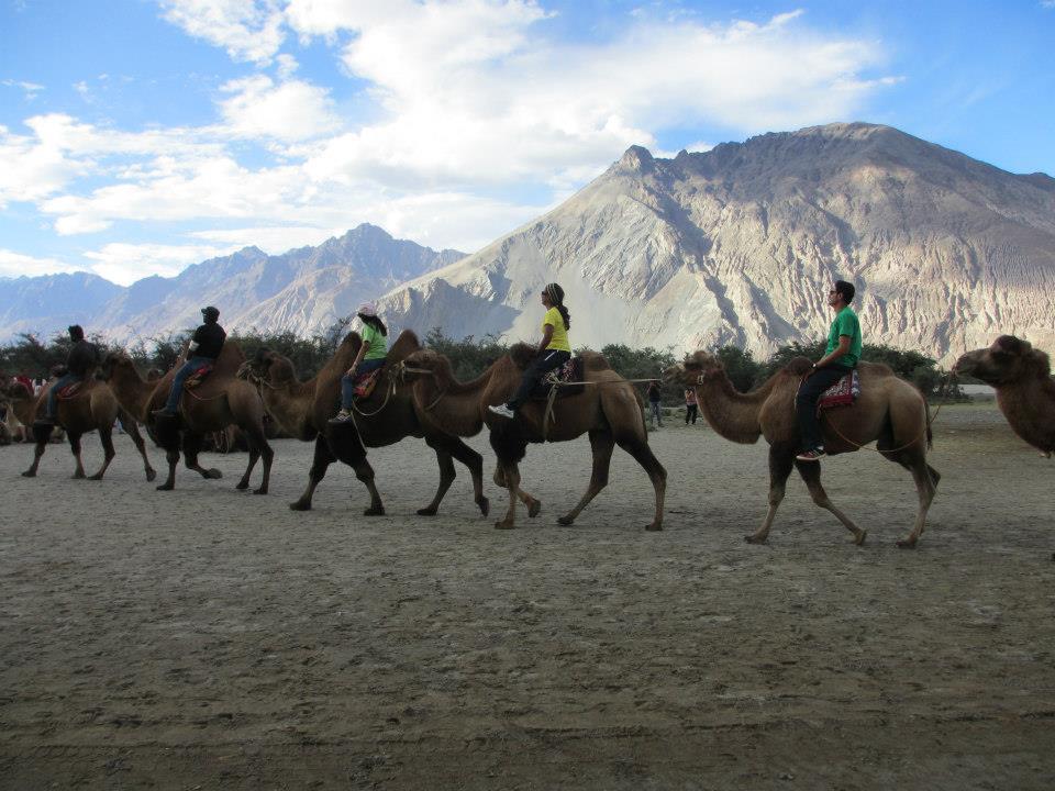 Photo of Camel Safari By Mitali Patil