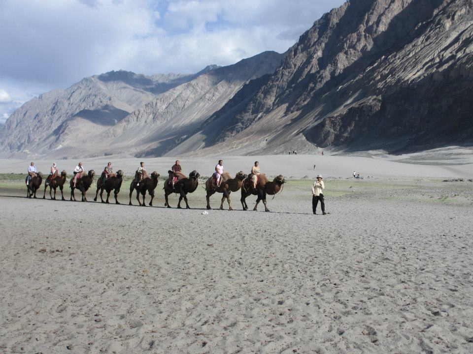 Photo of Camel Safari By Mitali Patil