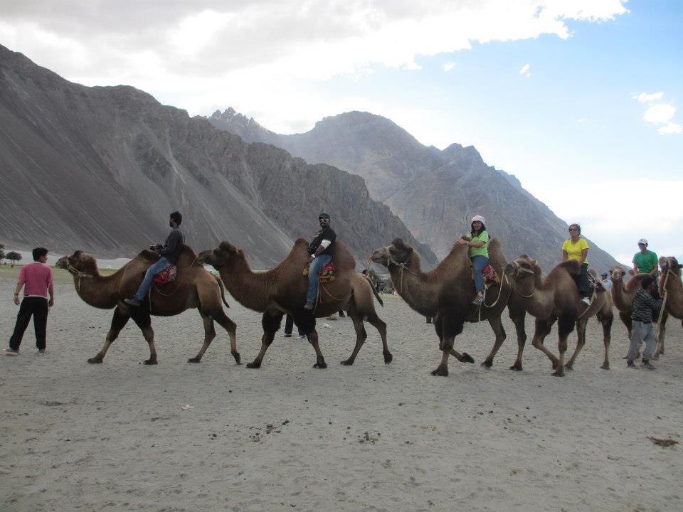 Photo of Camel Safari By Mitali Patil