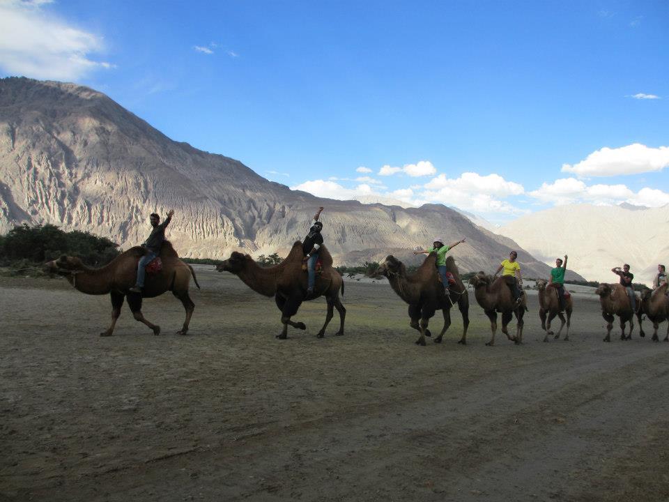 Photo of Camel Safari By Mitali Patil