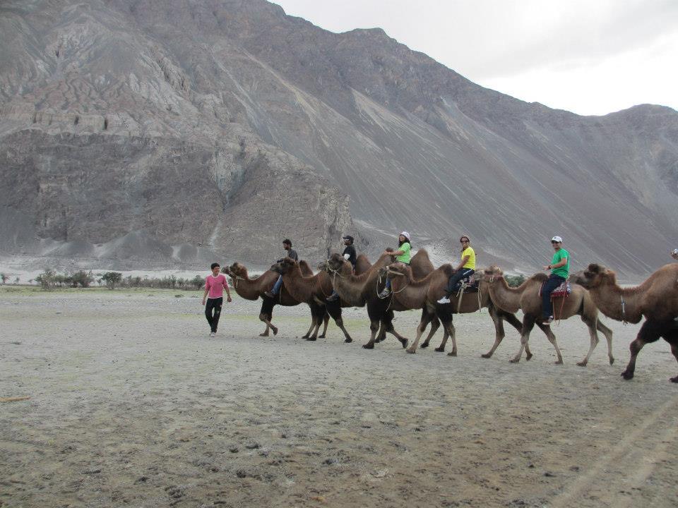 Photo of Camel Safari By Mitali Patil