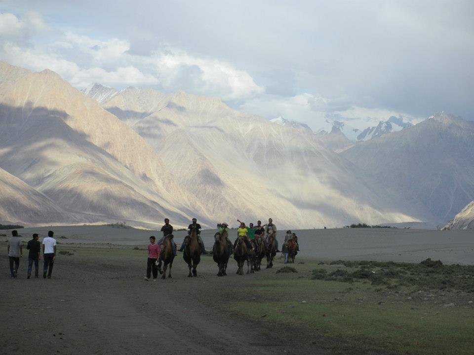 Photo of Camel Safari By Mitali Patil