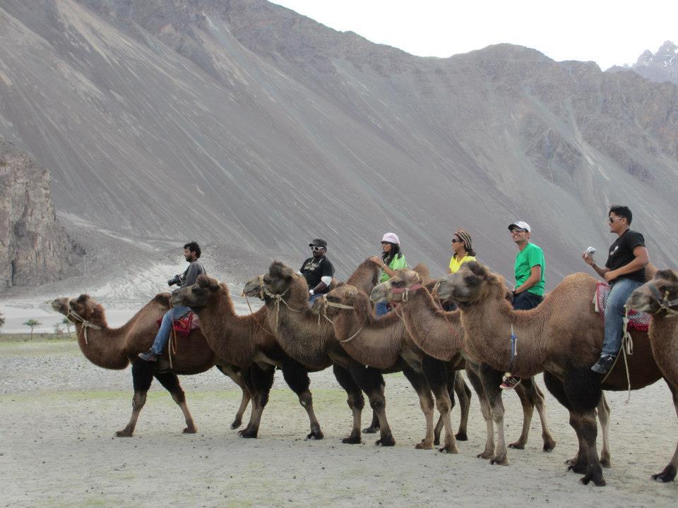 Photo of Camel Safari By Mitali Patil
